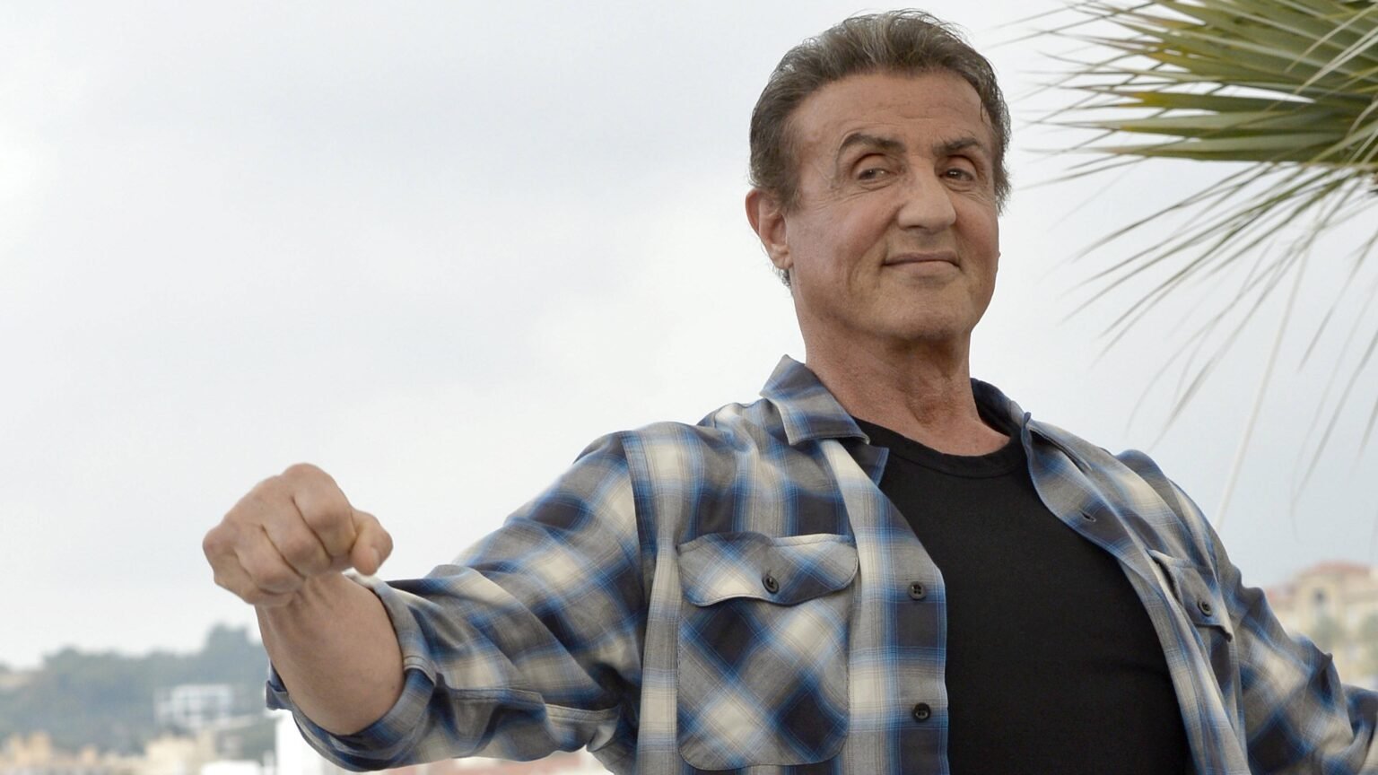 sylvester stallone vermögen